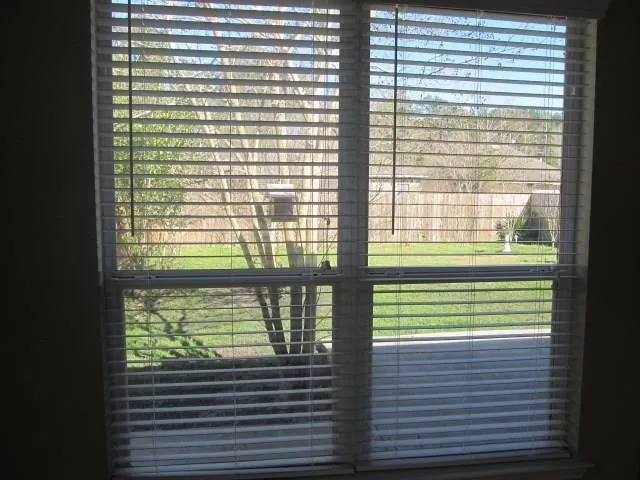 $1,700 | 831 Chevreuil Street, Mandeville, LA 70448