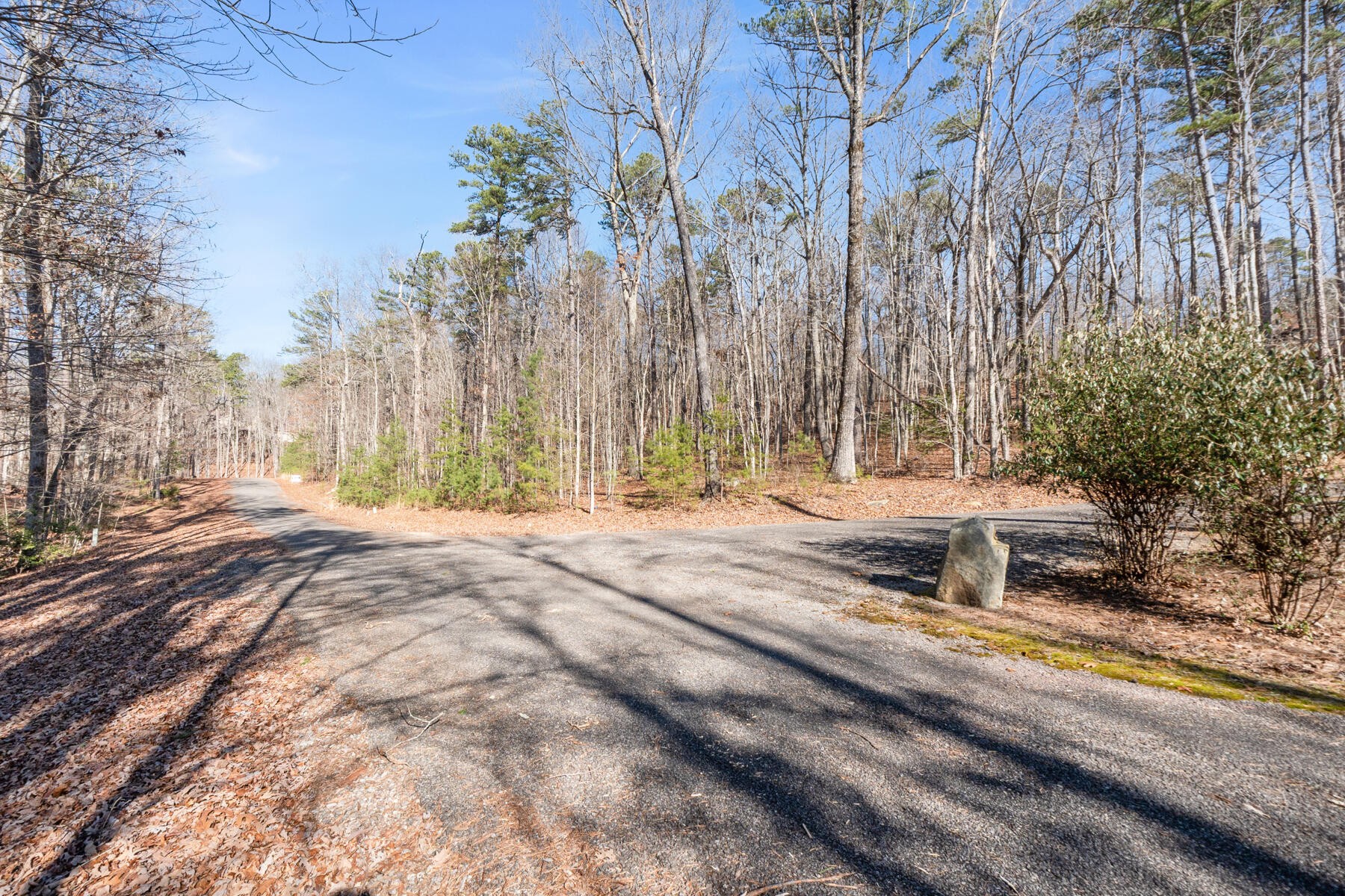 0 Tall Tree Trail Dunlap, TN 37327 - Photo 11 of 22 Gallery Image 11