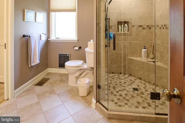 a view of a park with large trees