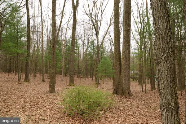 $873,900 | 576 East Shadow Lane, State College, PA 16803