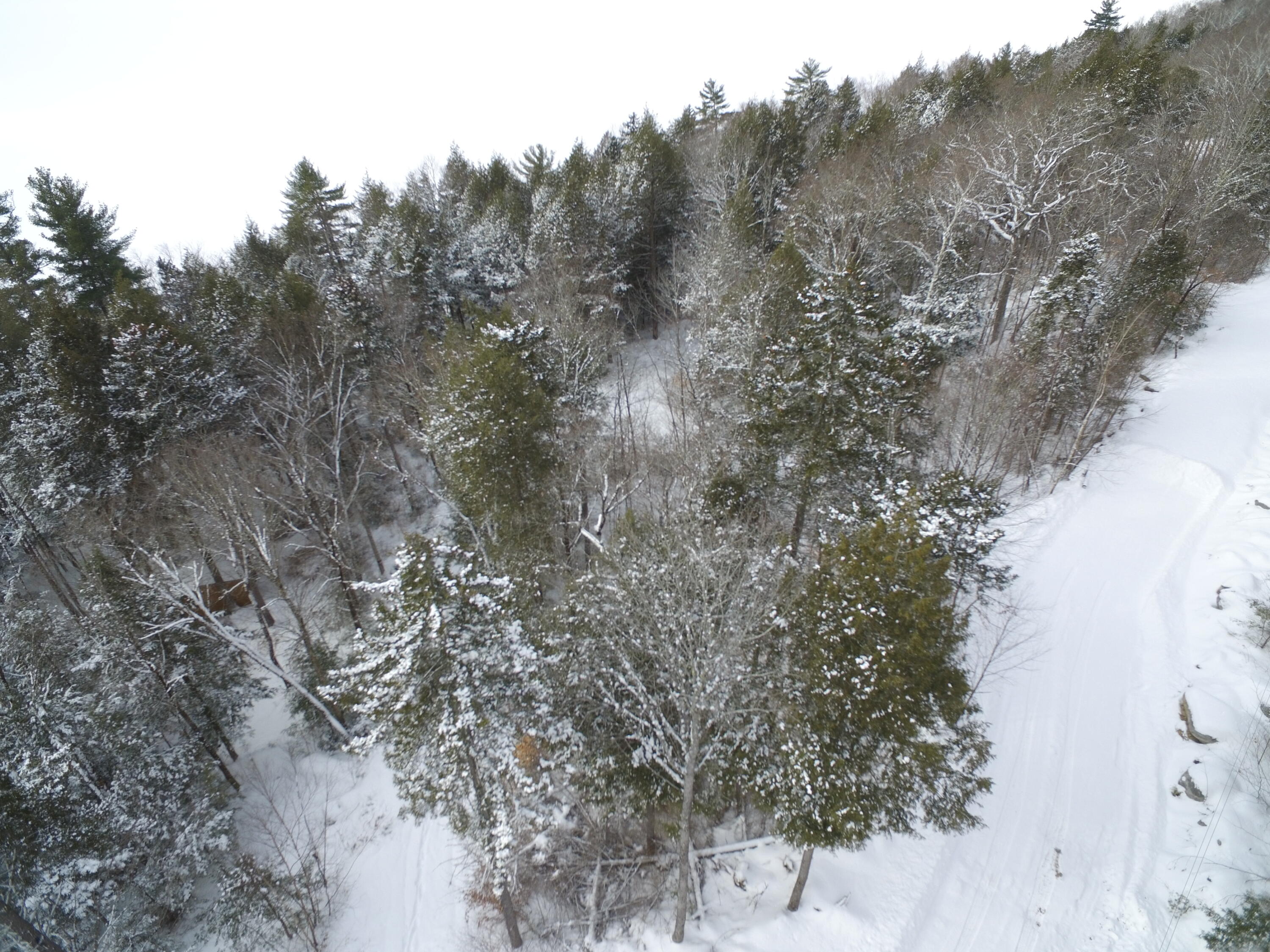 37.41 Acres Houston Road Lincoln, ME 04457 - Photo 17 of 29 DJI_0128