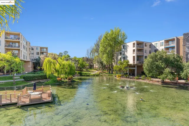 a view of a swimming pool with a house in the background