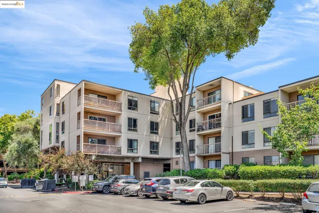 a view of a terrace with chairs