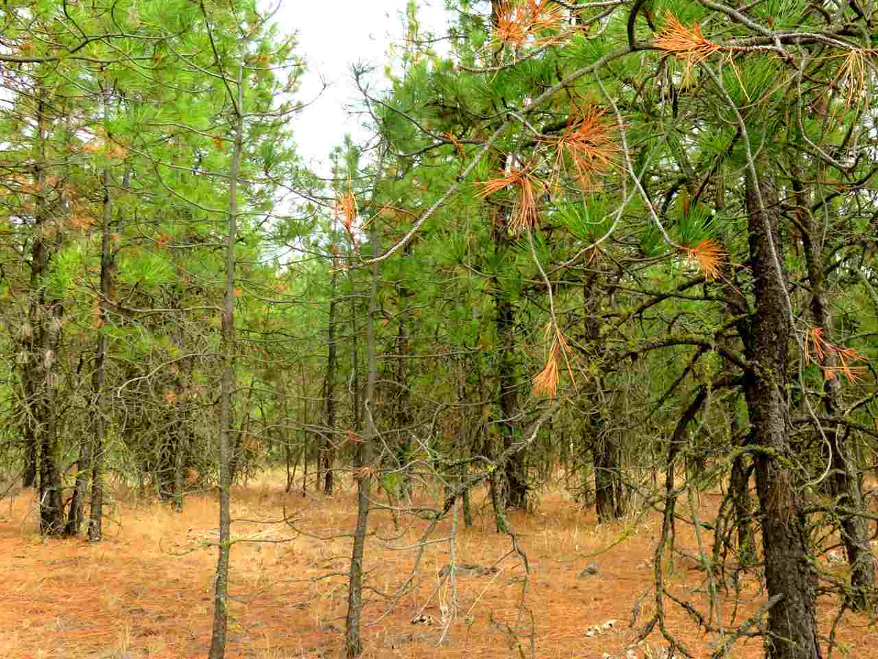 0 West Tucker Prairie Road Cheney, WA 99004 - Photo 1 of 5