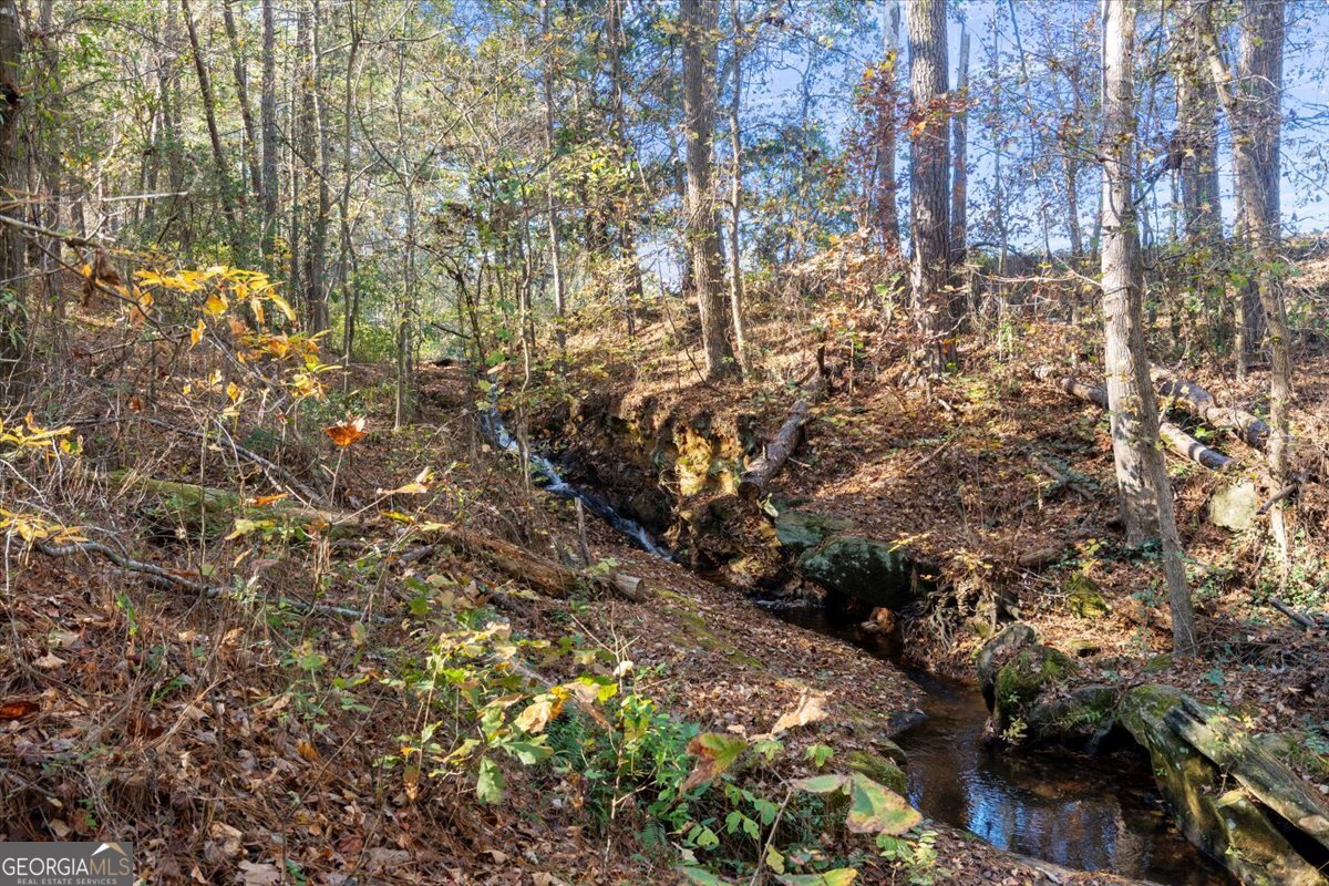 2737 Bethel Road Northeast Conyers, GA 30012 - Photo 24 of 25