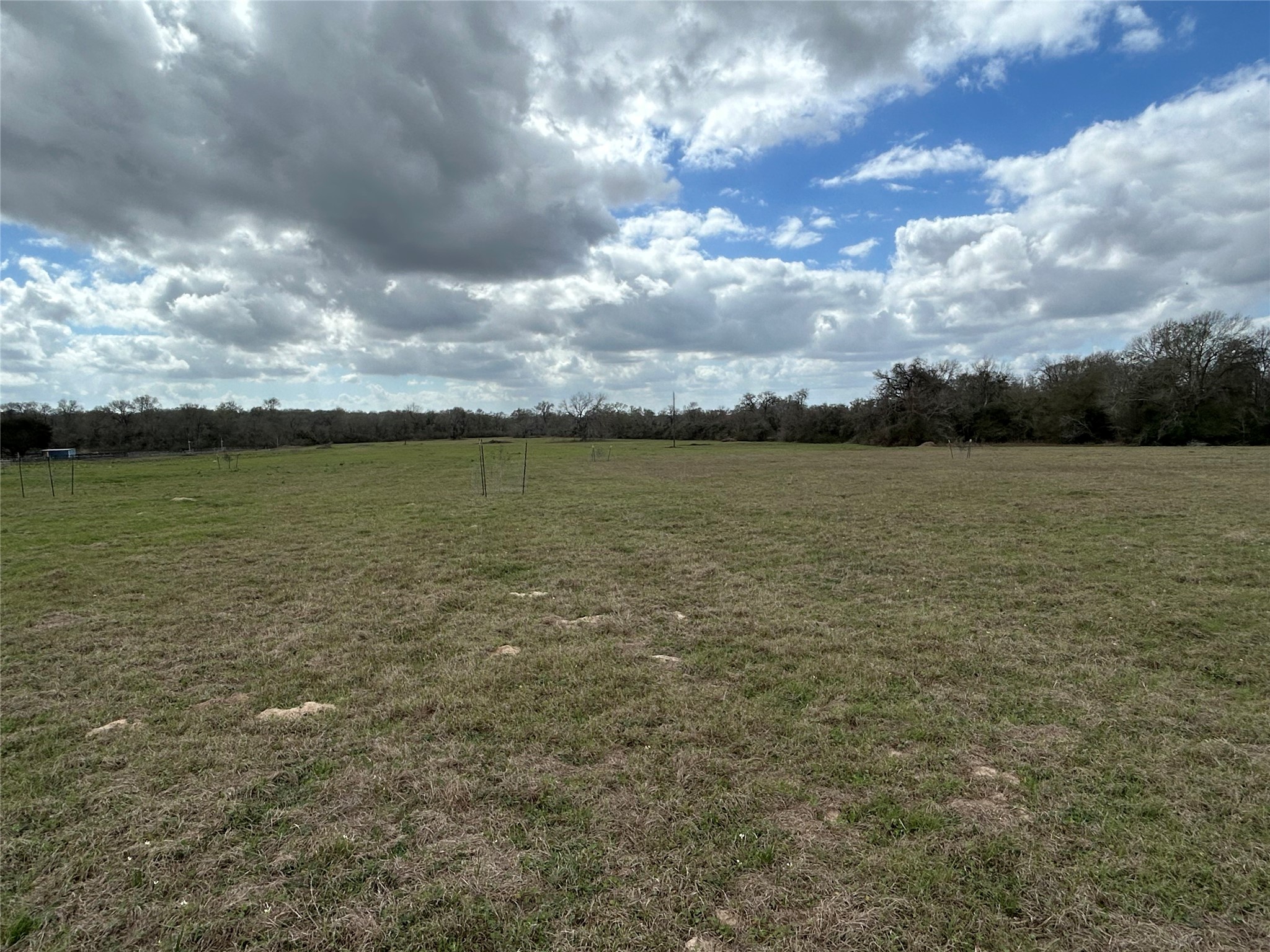 0 Fm 1736 Hempstead, TX 77445 - Photo 6 of 9