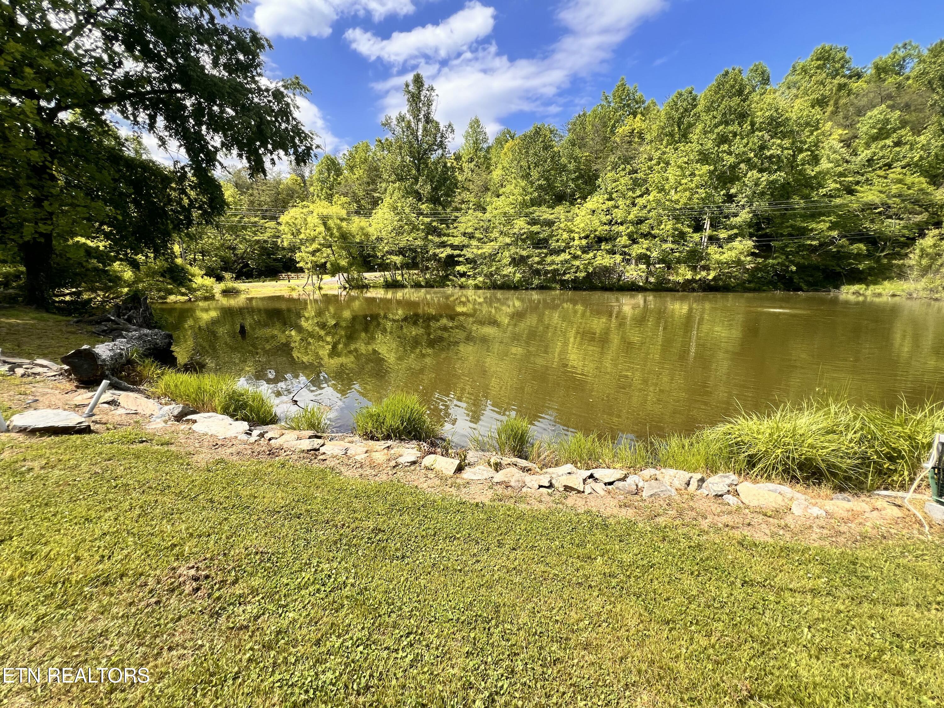 4040 Trail Hollow Road Cosby, TN 37722 - Photo 48 of 60 IMG_7406
