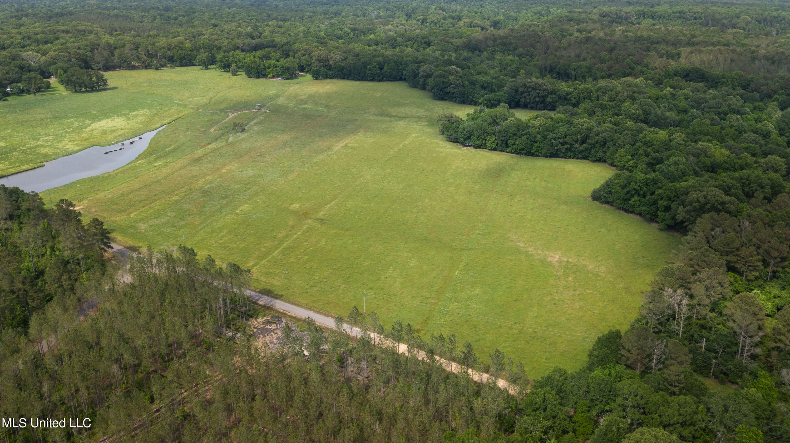 0 Henry Place Road Lexington, MS 39095 - Photo 1 of 23 Henry Place-95 Acres-2