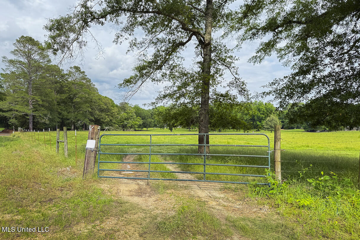0 Henry Place Road Lexington, MS 39095 - Photo 13 of 23 Henry Place-95 Acres-23