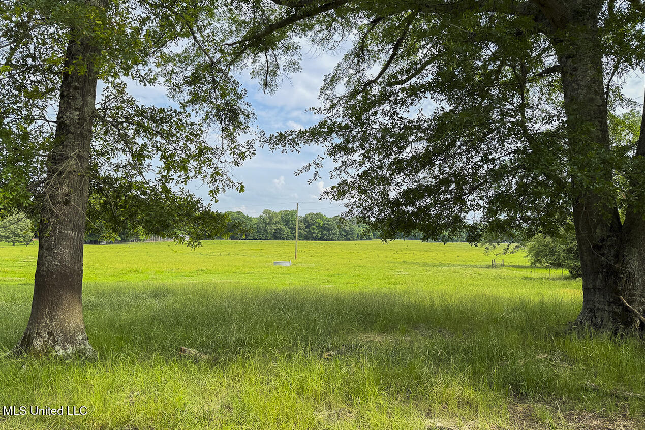 0 Henry Place Road Lexington, MS 39095 - Photo 14 of 23 Henry Place-95 Acres-24