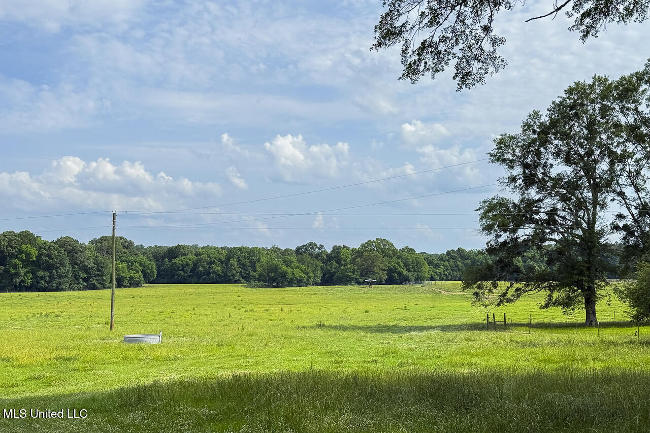 0 Henry Place Road Lexington, MS 39095 - Photo 15 of 23 Henry Place-95 Acres-26