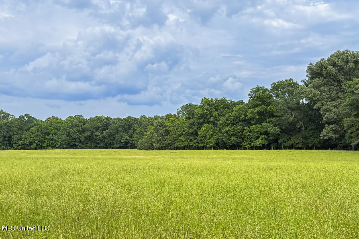 0 Henry Place Road Lexington, MS 39095 - Photo 16 of 23 Henry Place-95 Acres-28