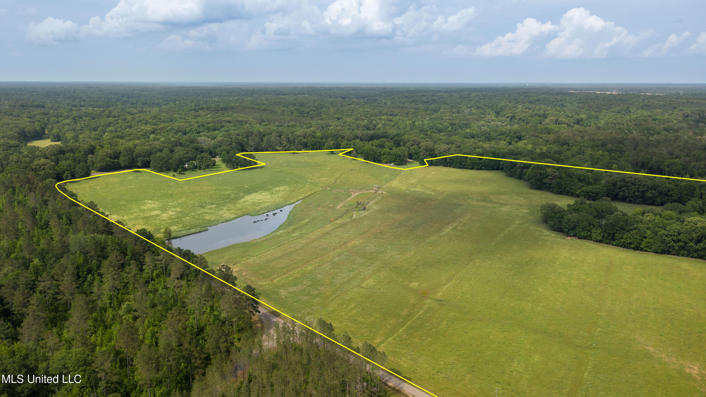 0 Henry Place Road Lexington, MS 39095 - Photo 20 of 23 Henry Place-95 Acres-1a