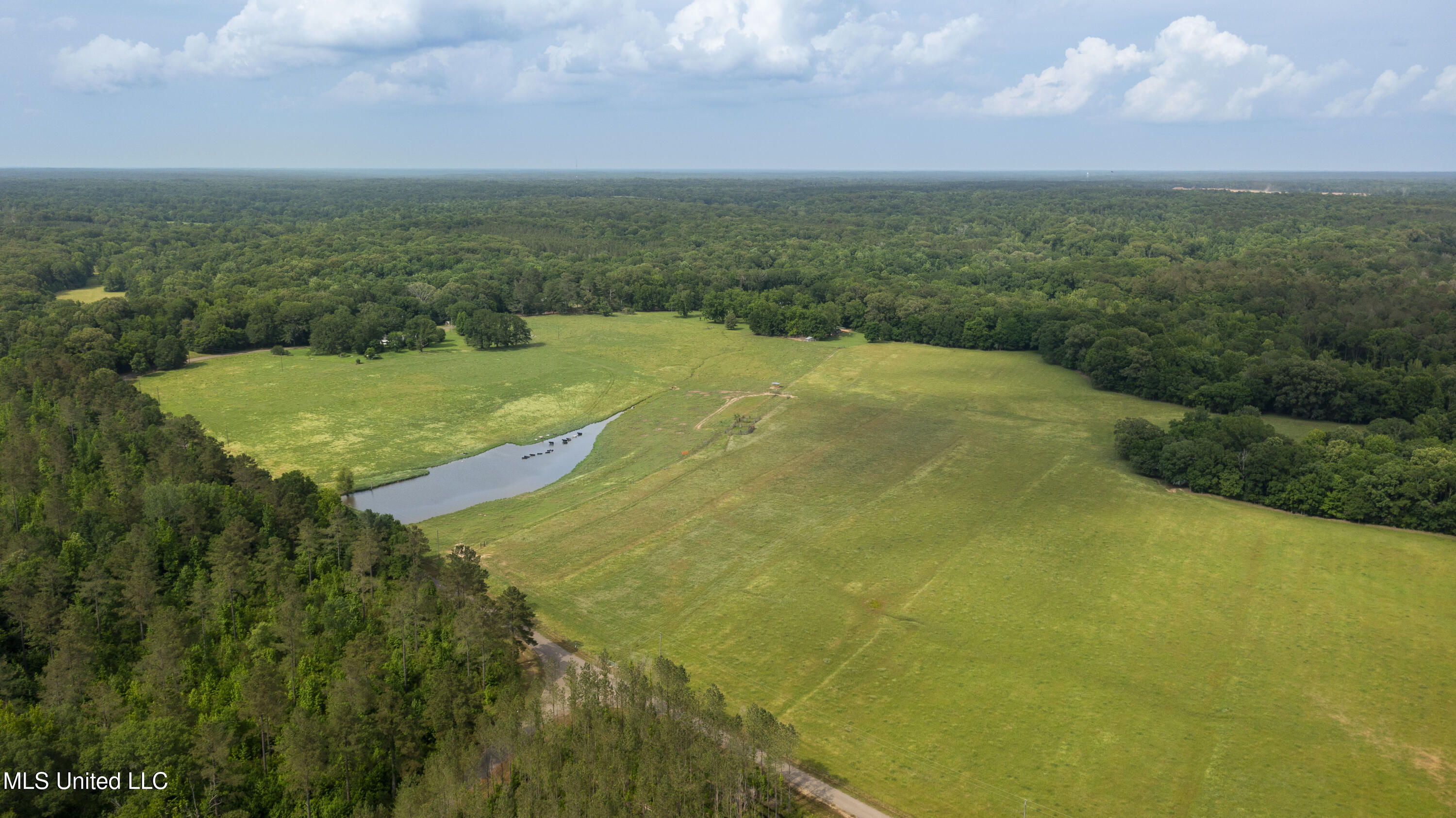 0 Henry Place Road Lexington, MS 39095 - Photo 2 of 23 Henry Place-95 Acres-1
