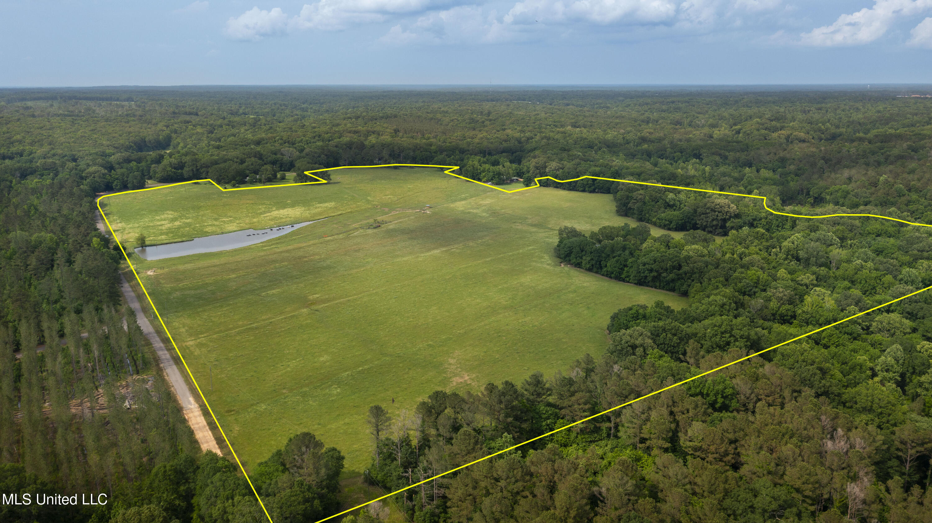 0 Henry Place Road Lexington, MS 39095 - Photo 21 of 23 Henry Place-95 Acres-3a