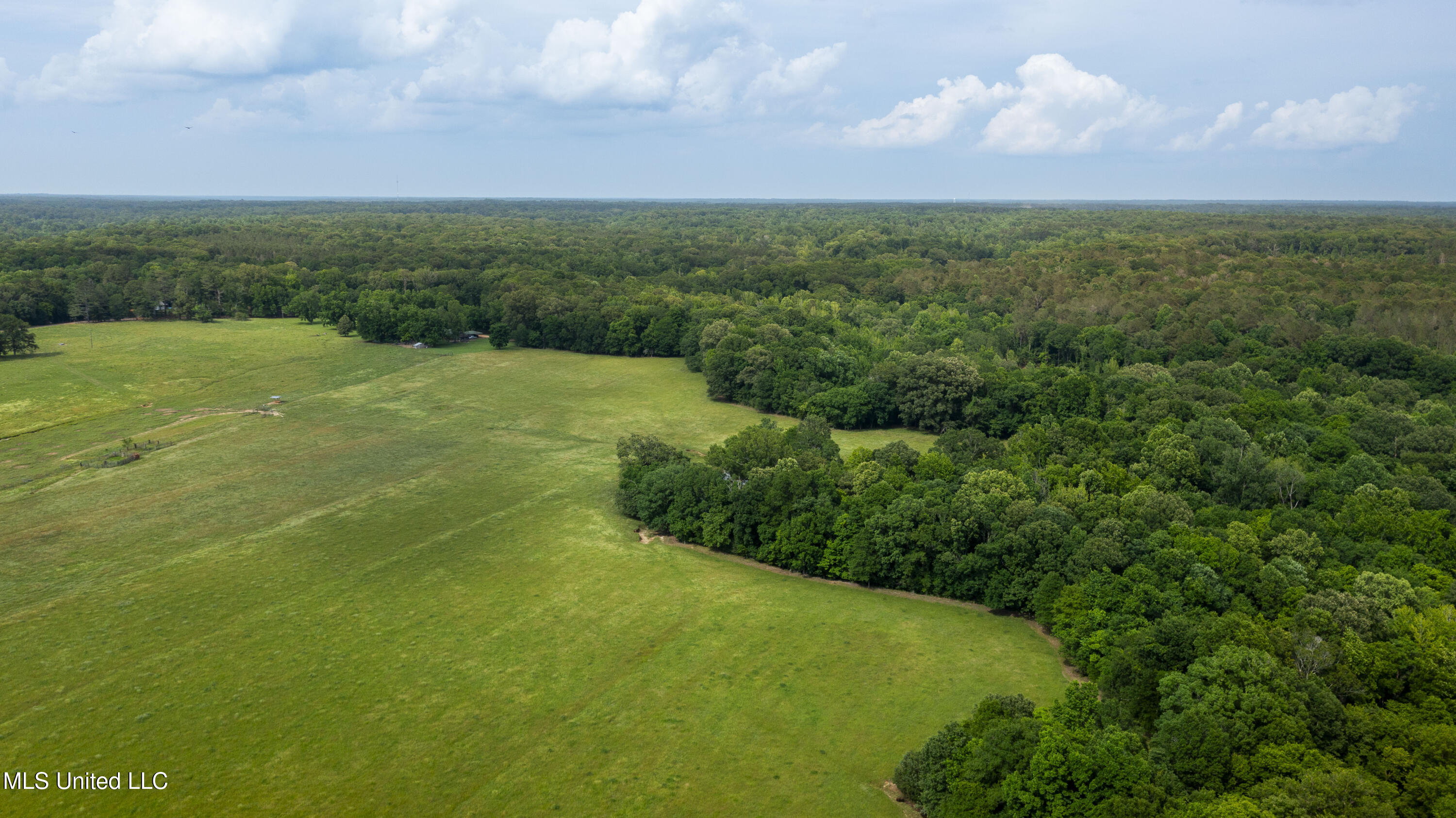0 Henry Place Road Lexington, MS 39095 - Photo 22 of 23 Henry Place-95 Acres-5