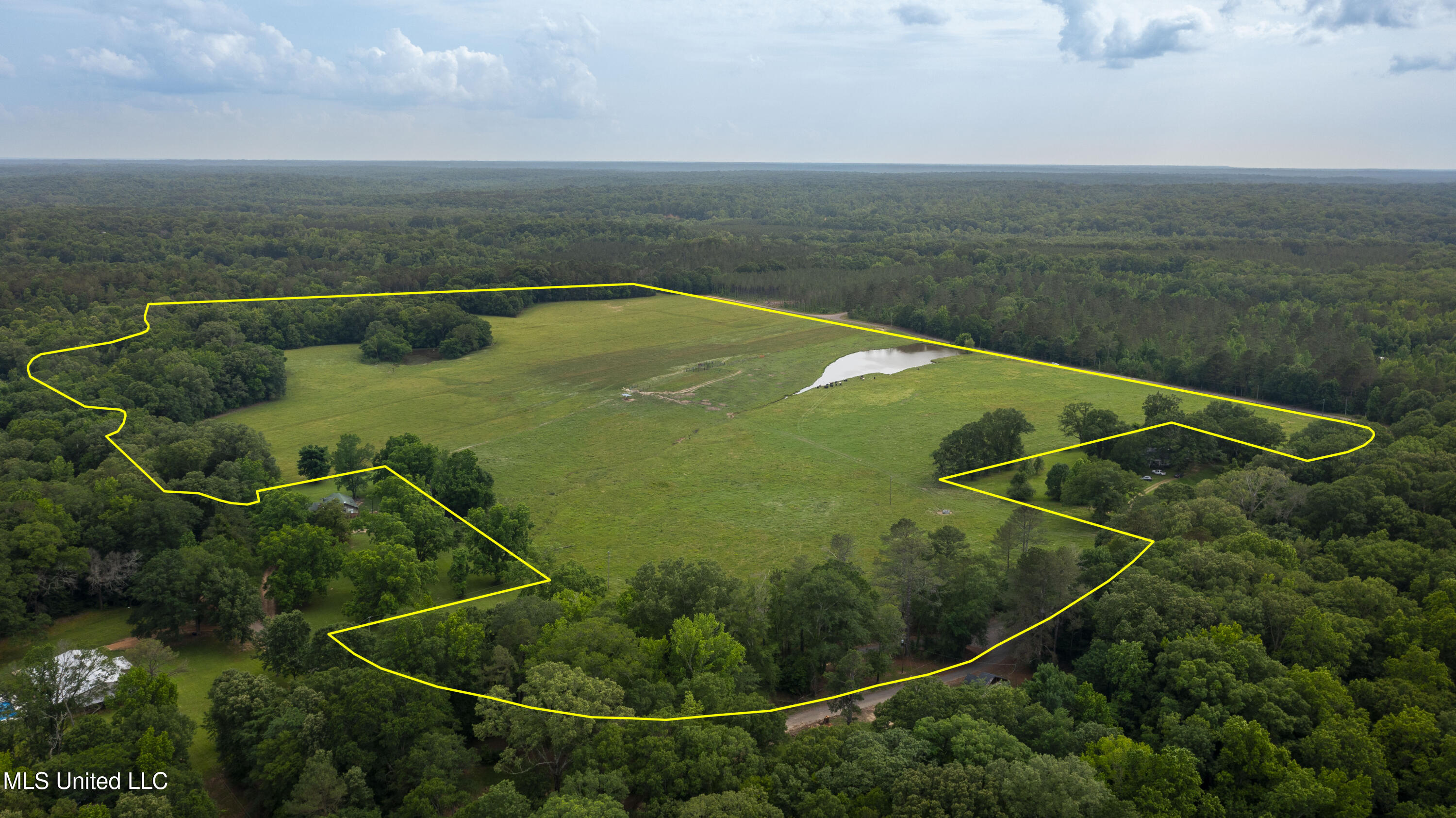 0 Henry Place Road Lexington, MS 39095 - Photo 23 of 23 Henry Place-95 Acres-15a