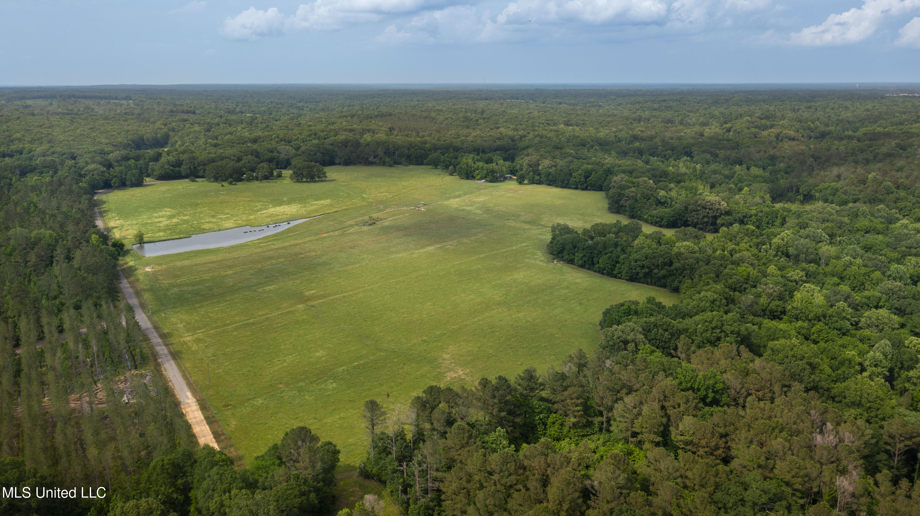 0 Henry Place Road Lexington, MS 39095 - Photo 3 of 23 Henry Place-95 Acres-3