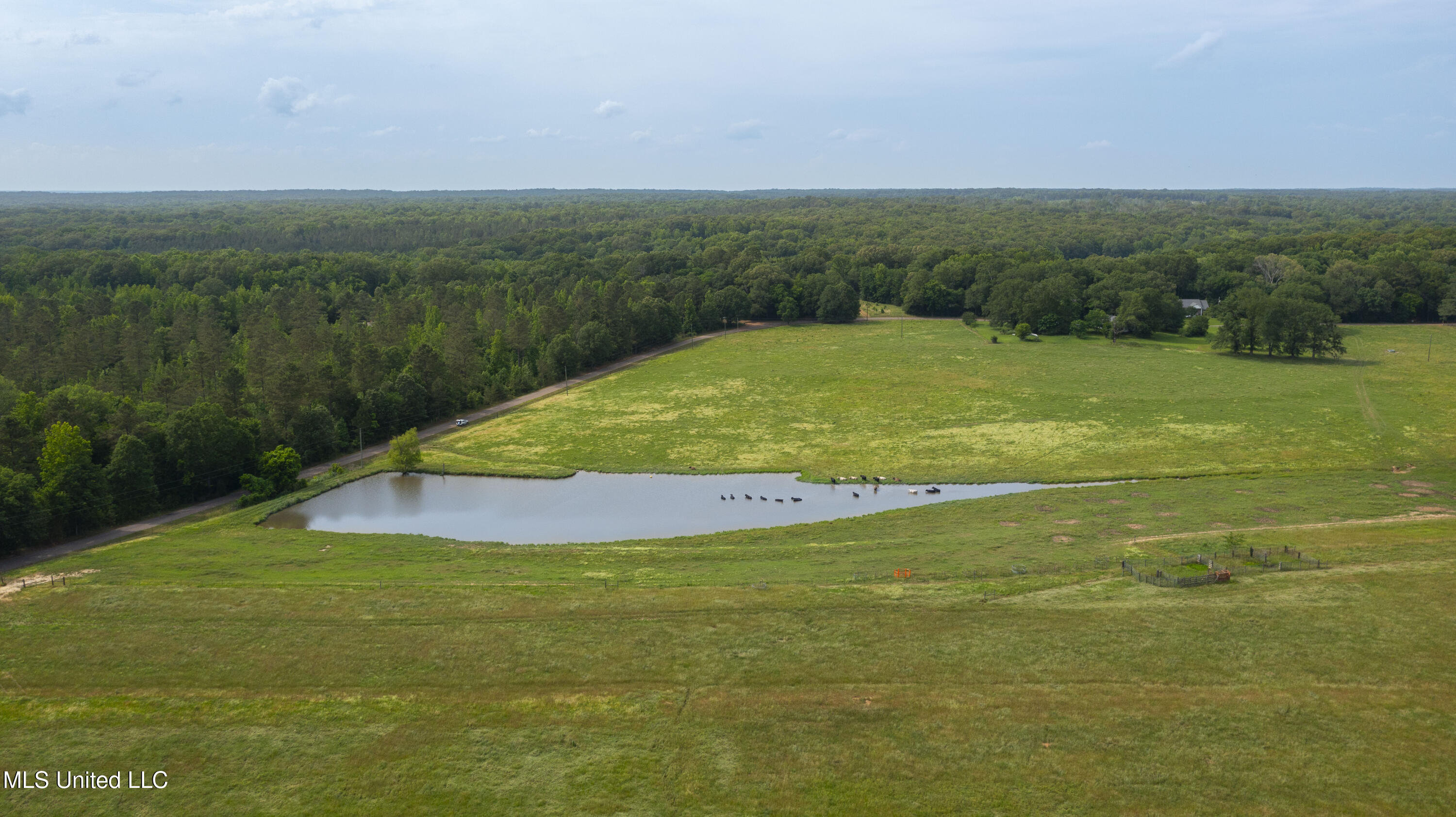 0 Henry Place Road Lexington, MS 39095 - Photo 4 of 23 Henry Place-95 Acres-7