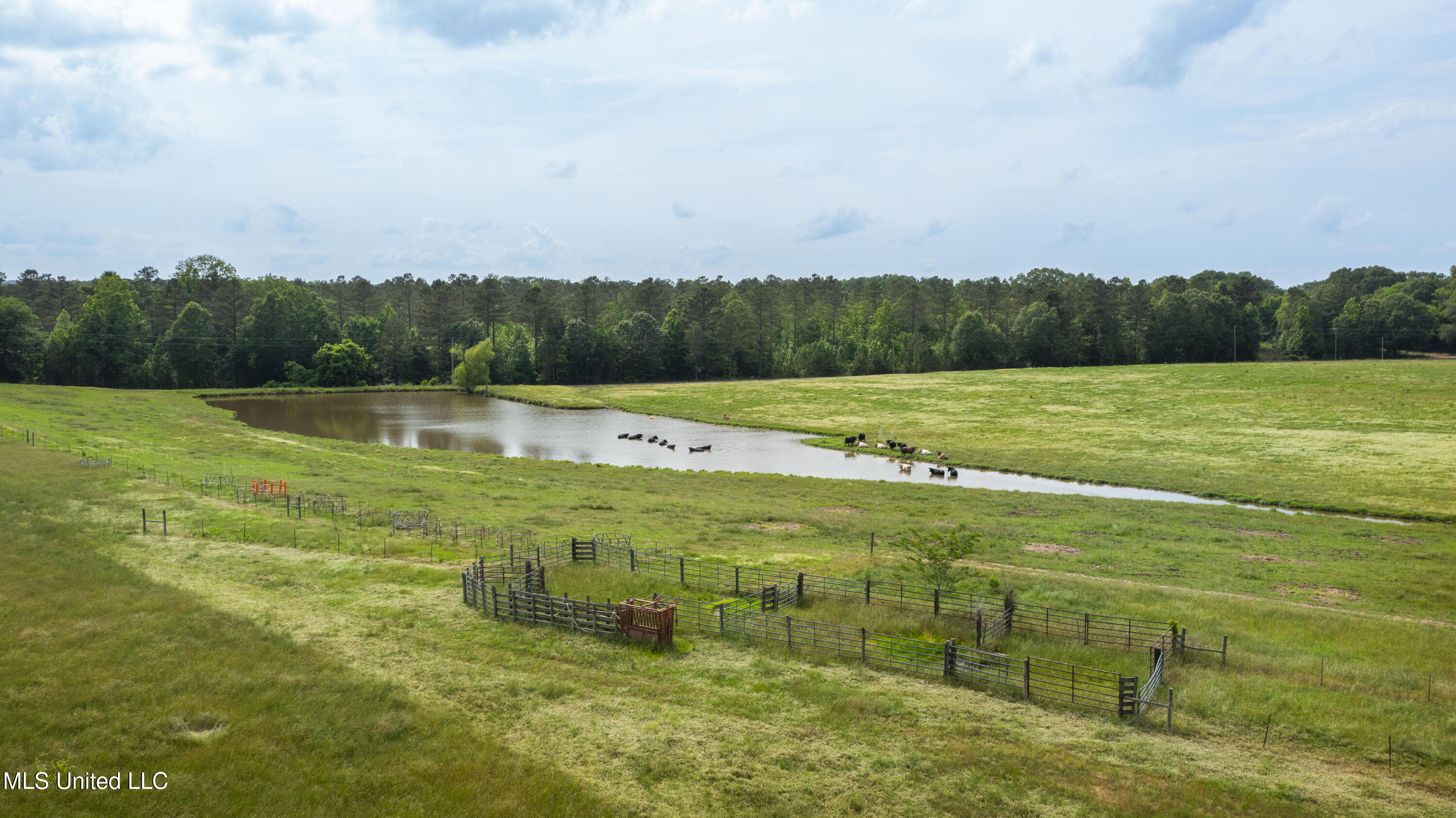 0 Henry Place Road Lexington, MS 39095 - Photo 7 of 23 Henry Place-95 Acres-9