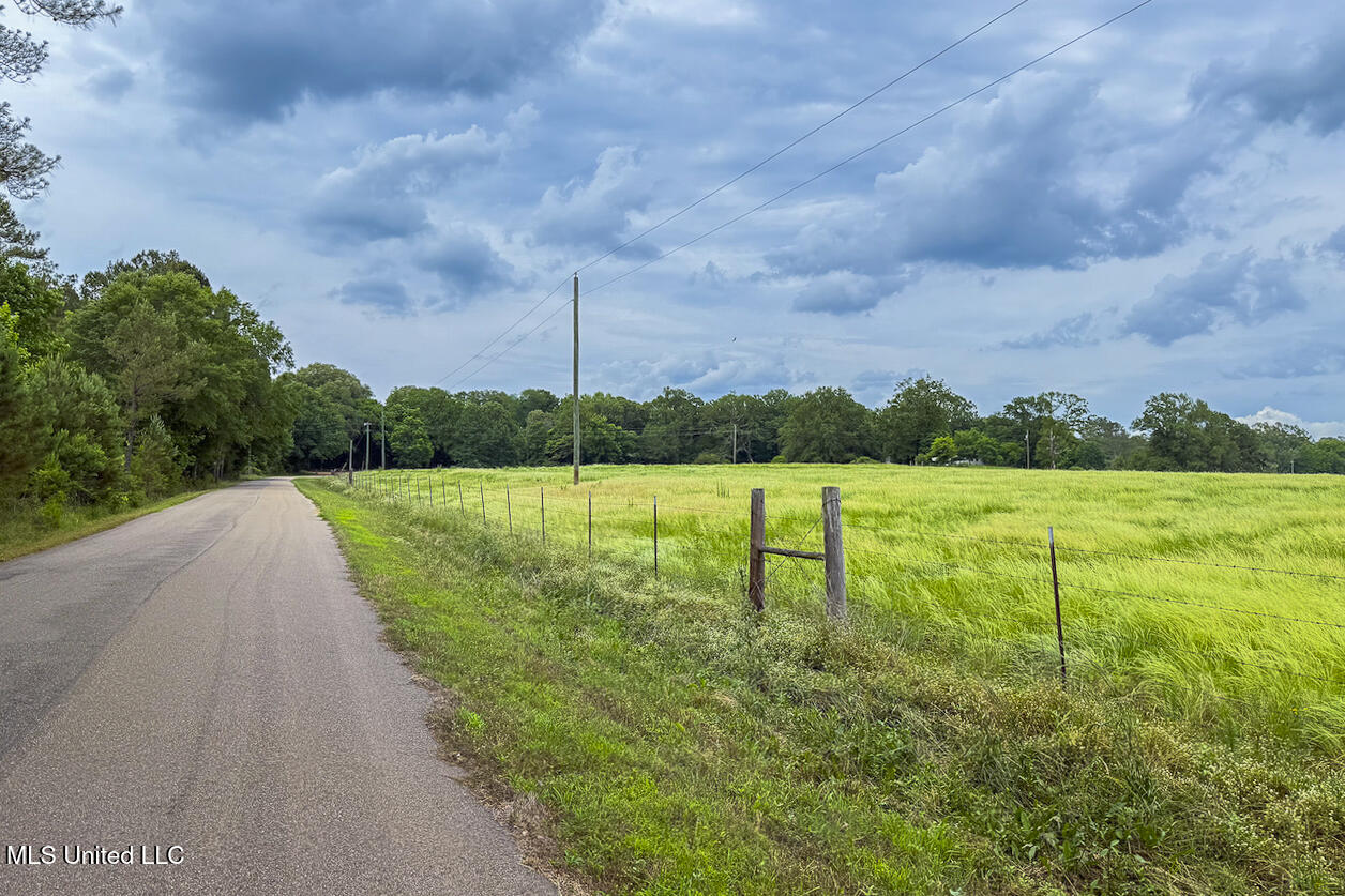 0 Henry Place Road Lexington, MS 39095 - Photo 8 of 23 Henry Place-95 Acres-19