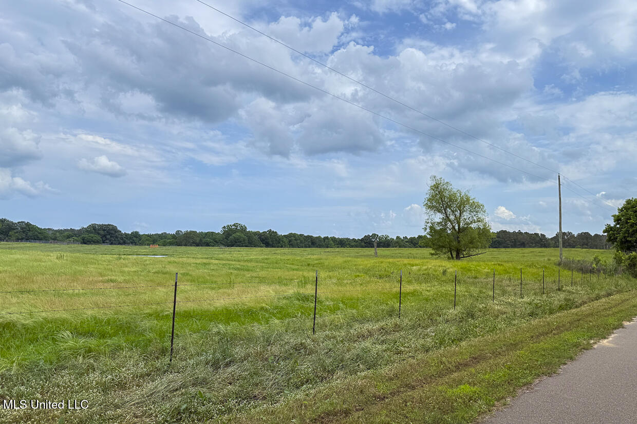 0 Henry Place Road Lexington, MS 39095 - Photo 9 of 23 Henry Place-95 Acres-20