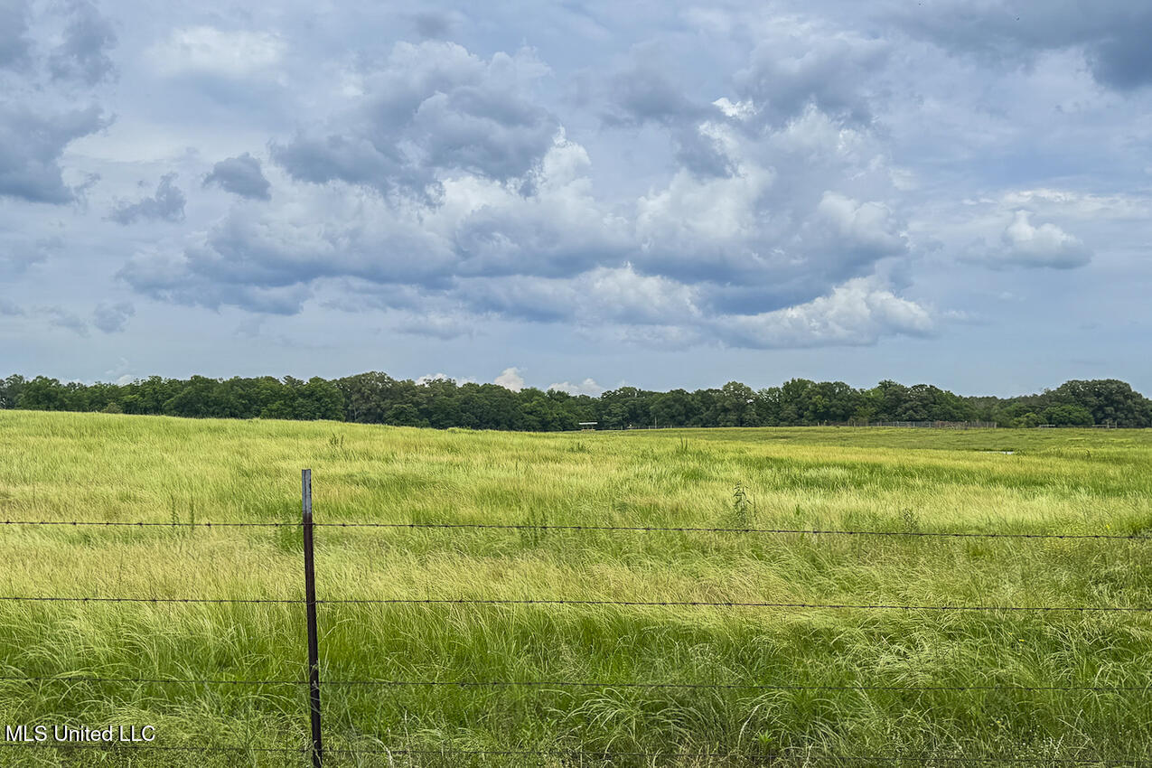 0 Henry Place Road Lexington, MS 39095 - Photo 10 of 23 Henry Place-95 Acres-21