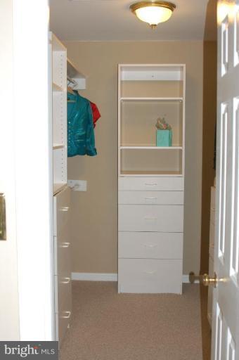 6566 Forsythia Street Springfield, VA 22150 - Photo 13 of 27 Master Closet
