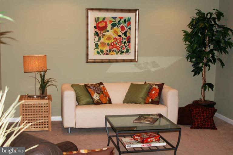 6566 Forsythia Street Springfield, VA 22150 - Photo 20 of 27 Recreation Room