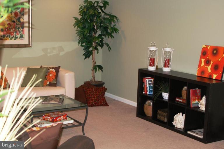 6566 Forsythia Street Springfield, VA 22150 - Photo 24 of 27 Recreation Room #2