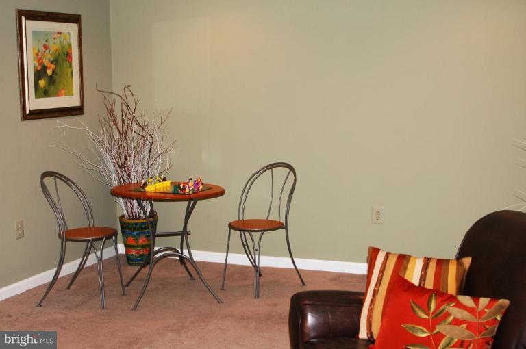 6566 Forsythia Street Springfield, VA 22150 - Photo 25 of 27 Recreation Room #3