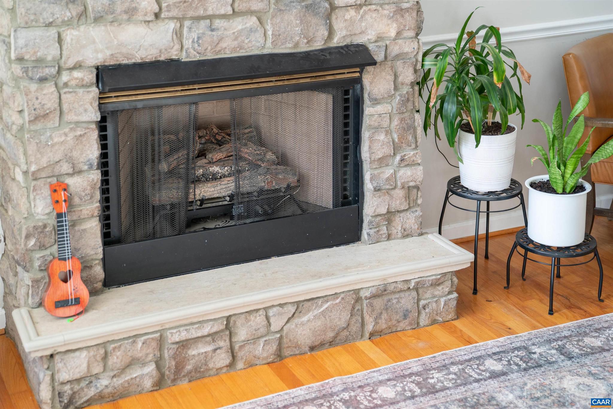 36 Hatchechubee Road Palmyra, VA 22963 - Photo 8 of 56