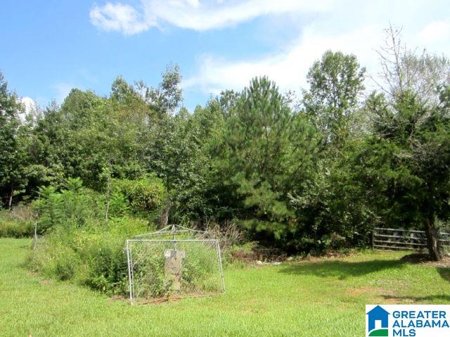 8076 Clairmont Springs Road, Unit 36 ACRES Lineville, AL 36266 - Photo 6 of 7