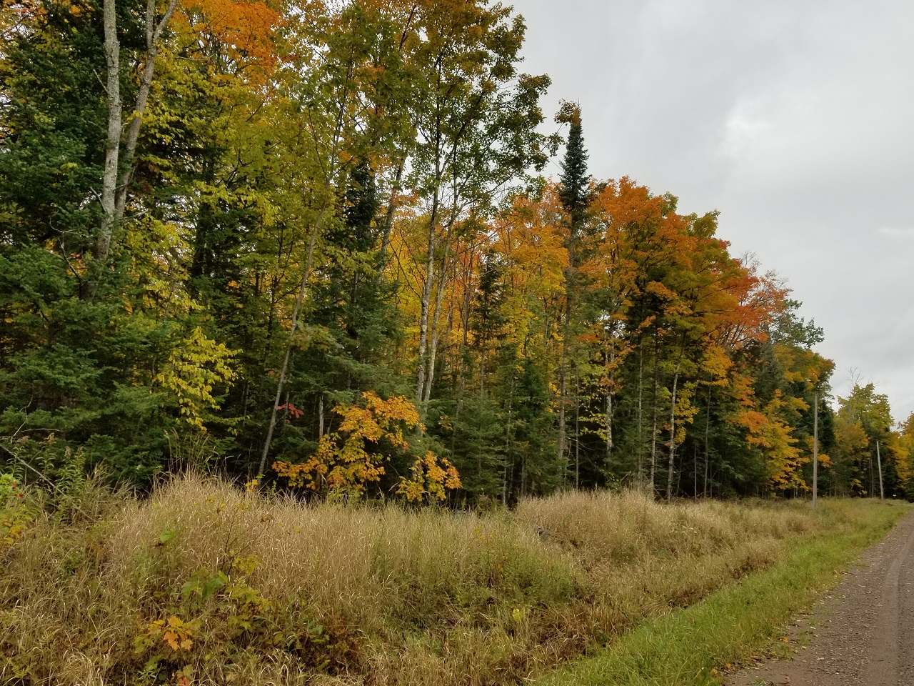 Lot 4 John Dul Road Mercer, WI 54547 - Photo 1 of 30 Gallery Image 1