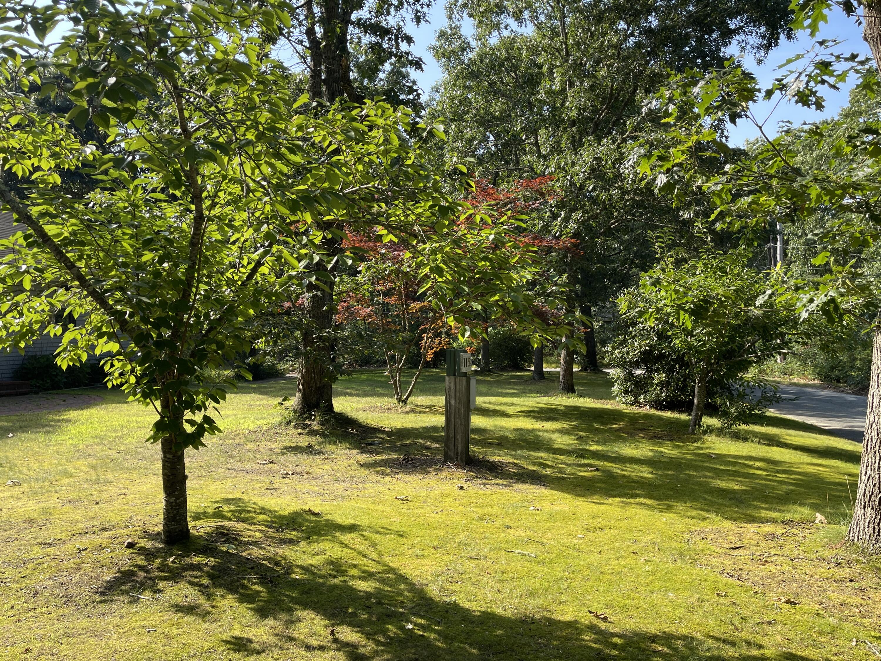 115 Pine Needle Road Wellfleet, MA 02667 - Photo 3 of 37 a view of a lake view