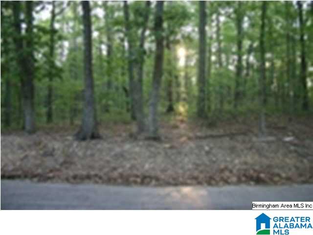 Hilltop Road Oneonta, AL 35121 - Photo 1 of 3