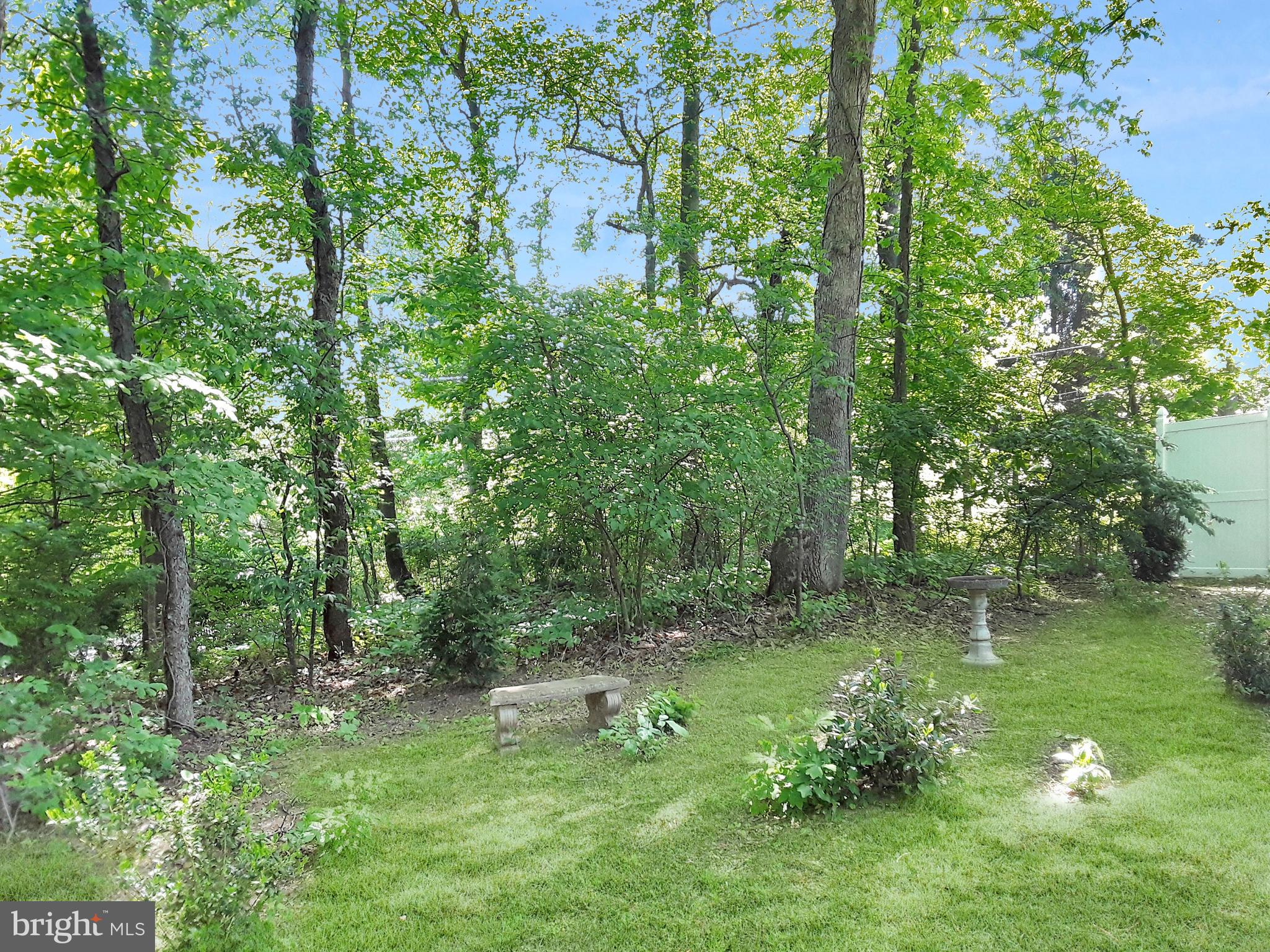 3450 Halter Road Westminster, MD 21158 - Photo 8 of 51 Front yard