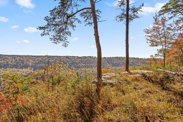 $285,000 | 0 Crockett Pointe, Unit JF157, Jasper, TN 37347