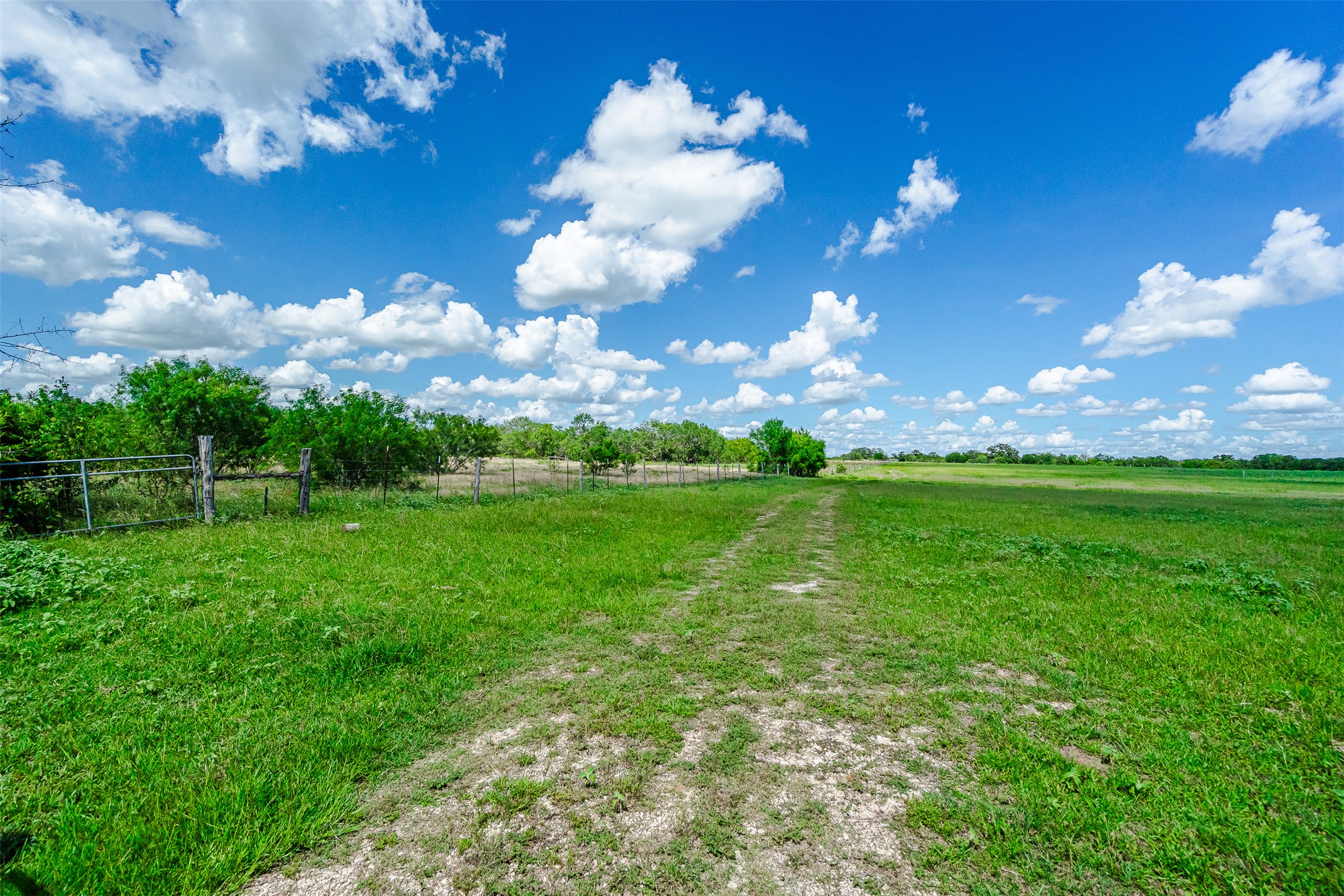 3109 Tenney Creek Road Dale, TX 78616 - Photo 18 of 23