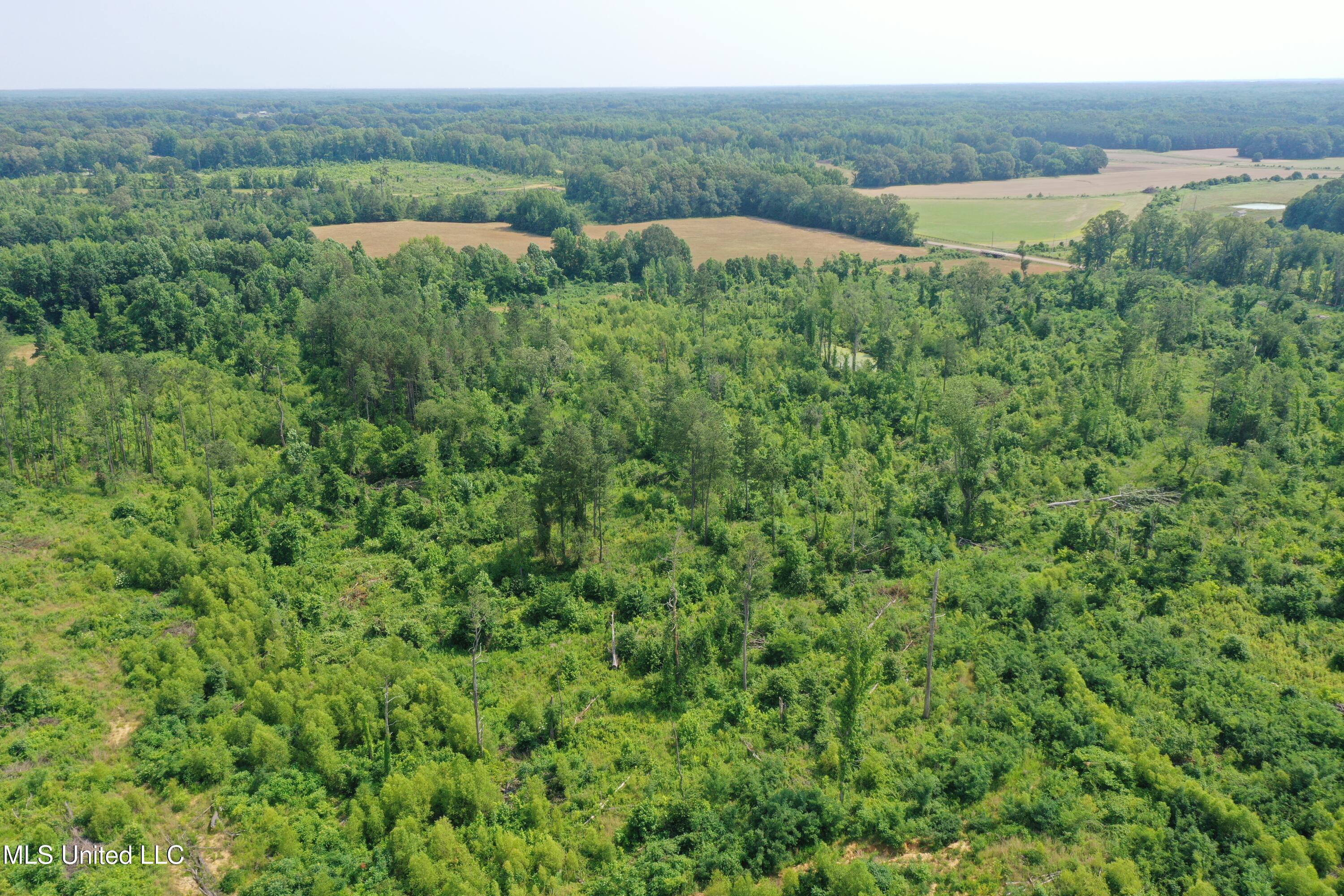 101 Baldwin Road South Lake Cormorant, MS 38641 - Photo 11 of 46 DJI_0689