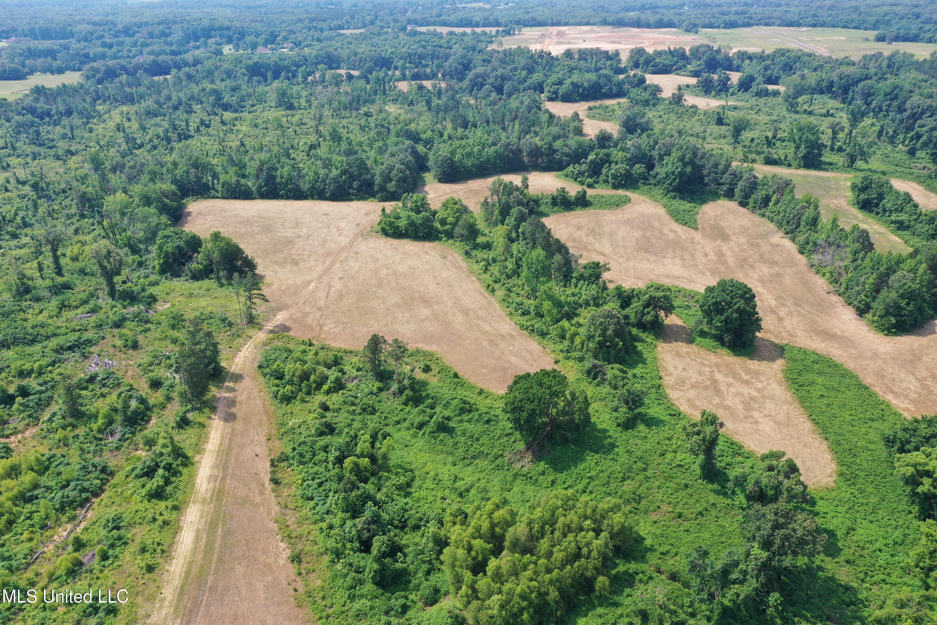 101 Baldwin Road South Lake Cormorant, MS 38641 - Photo 12 of 46 DJI_0690