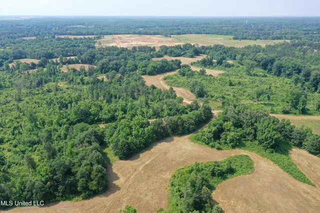 $199,000 | 101 Baldwin Road South, Lake Cormorant, MS 38641