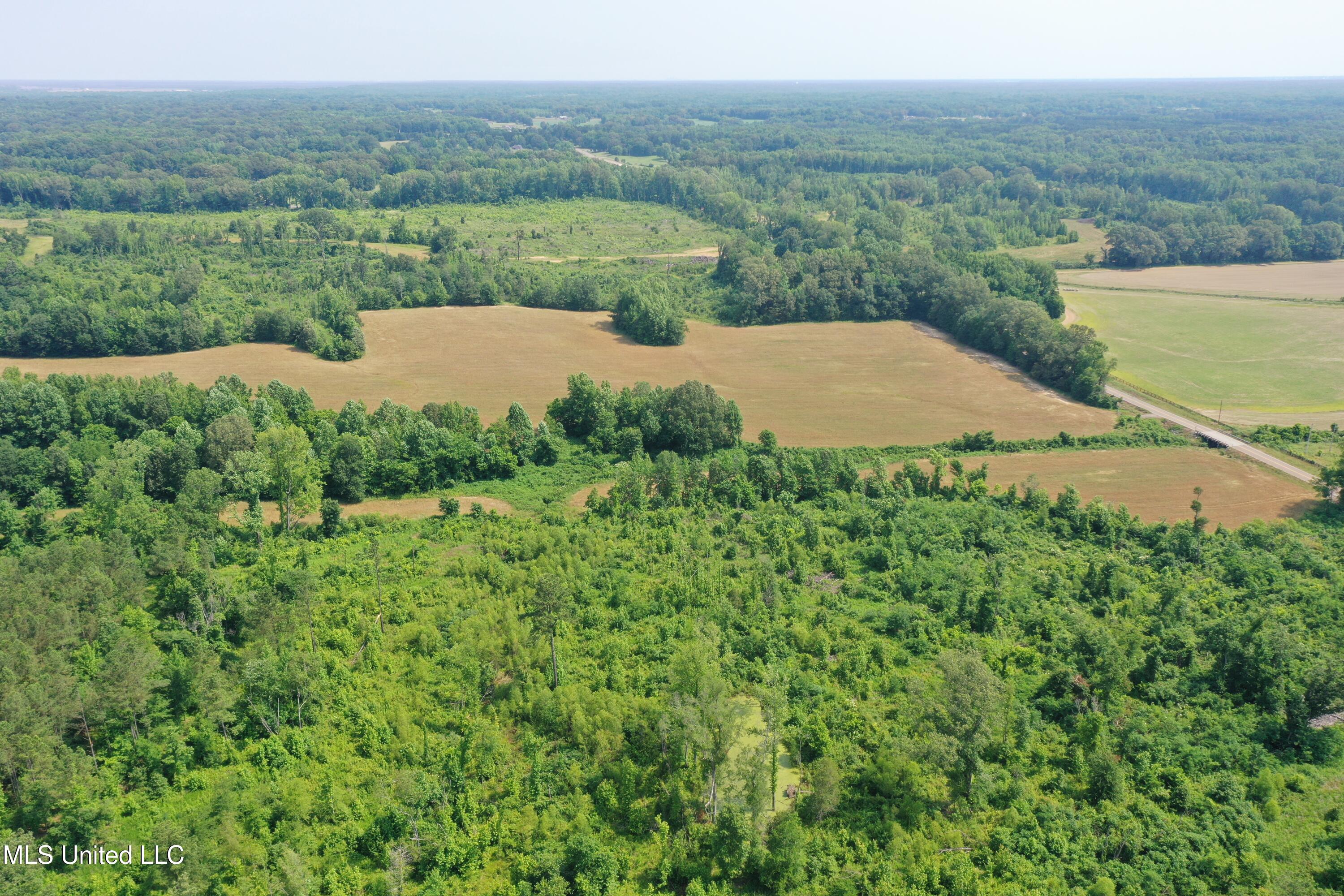 101 Baldwin Road South Lake Cormorant, MS 38641 - Photo 14 of 46 DJI_0693