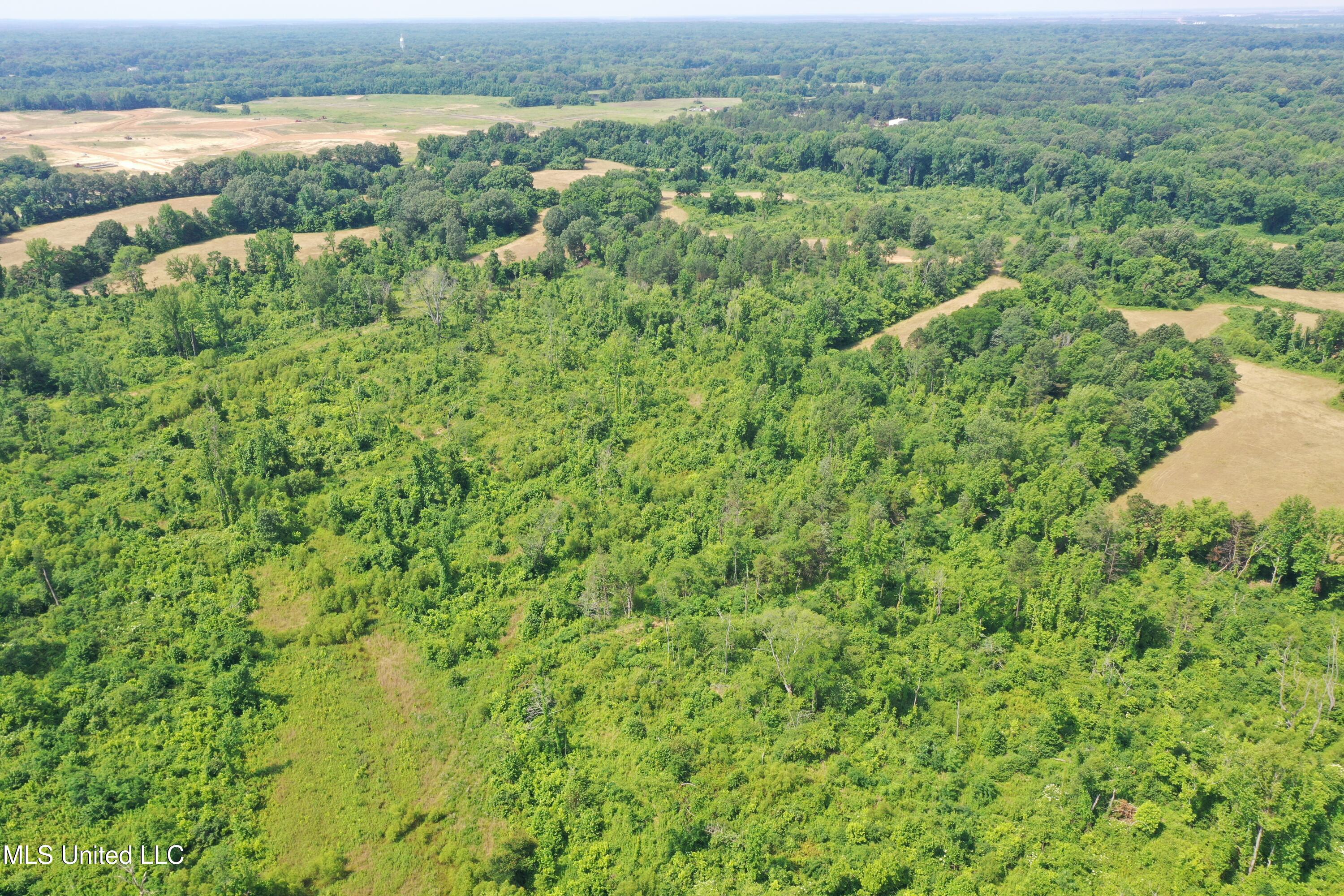 101 Baldwin Road South Lake Cormorant, MS 38641 - Photo 16 of 46 DJI_0695