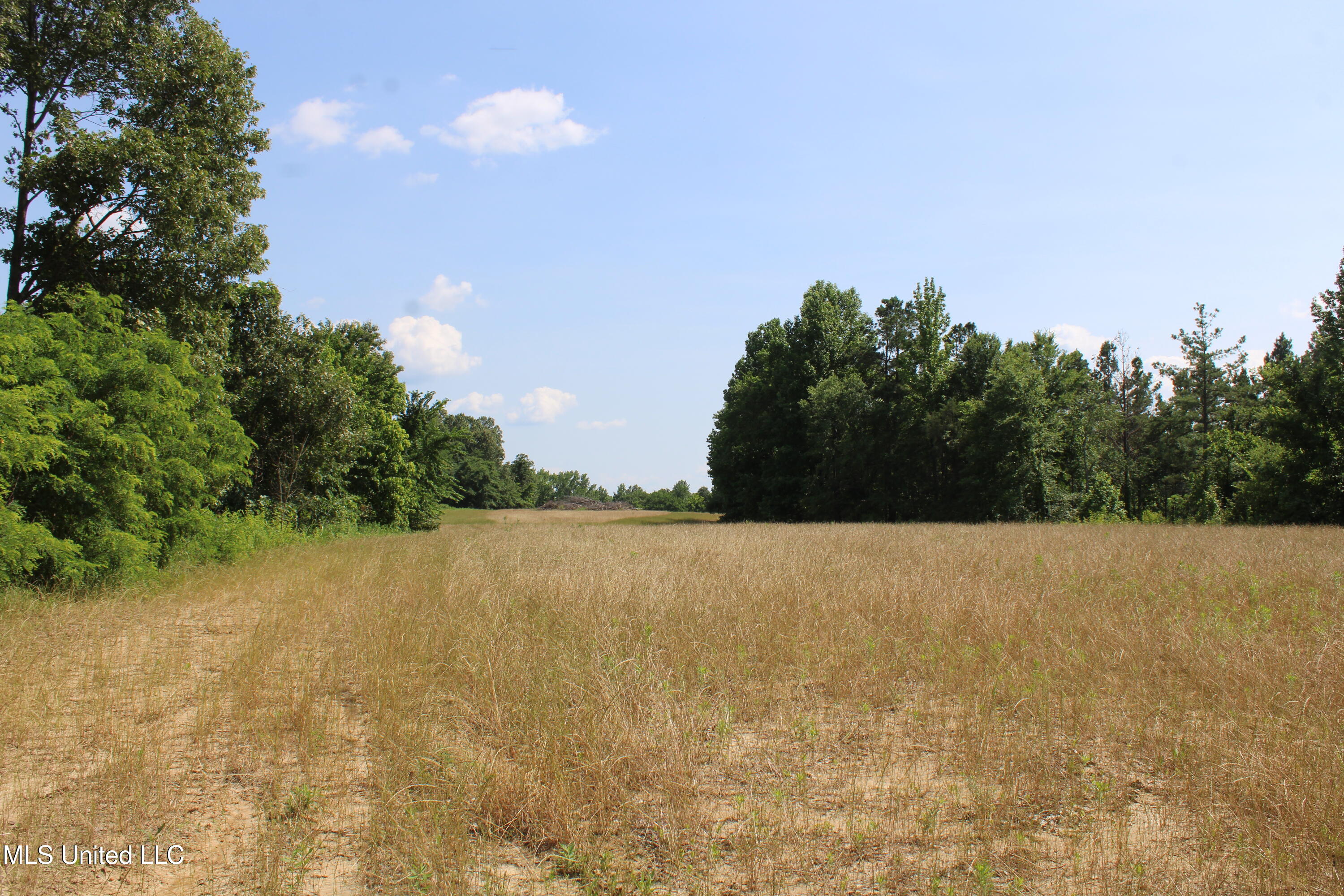 101 Baldwin Road South Lake Cormorant, MS 38641 - Photo 17 of 46 IMG_6151