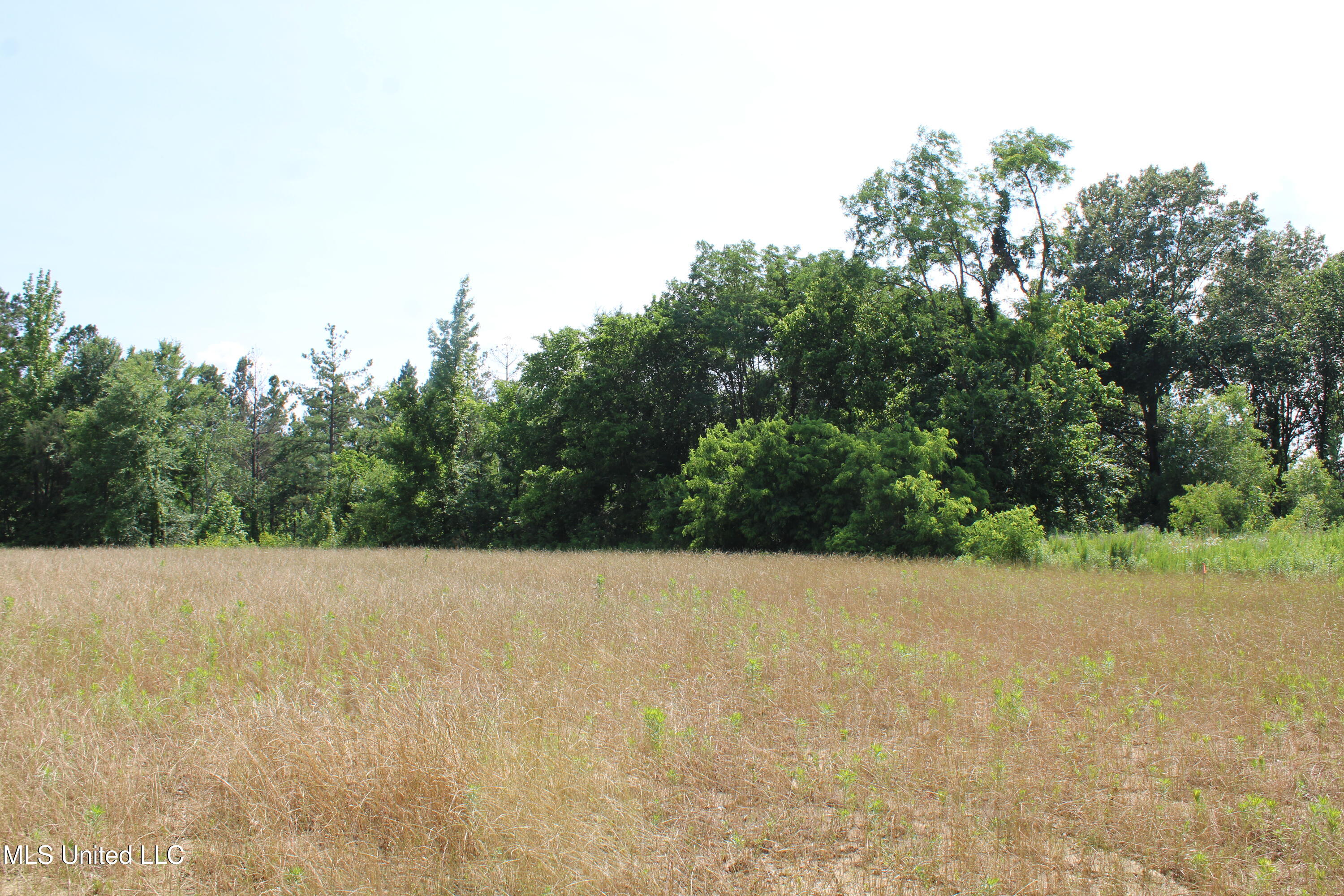 101 Baldwin Road South Lake Cormorant, MS 38641 - Photo 18 of 46 IMG_6152