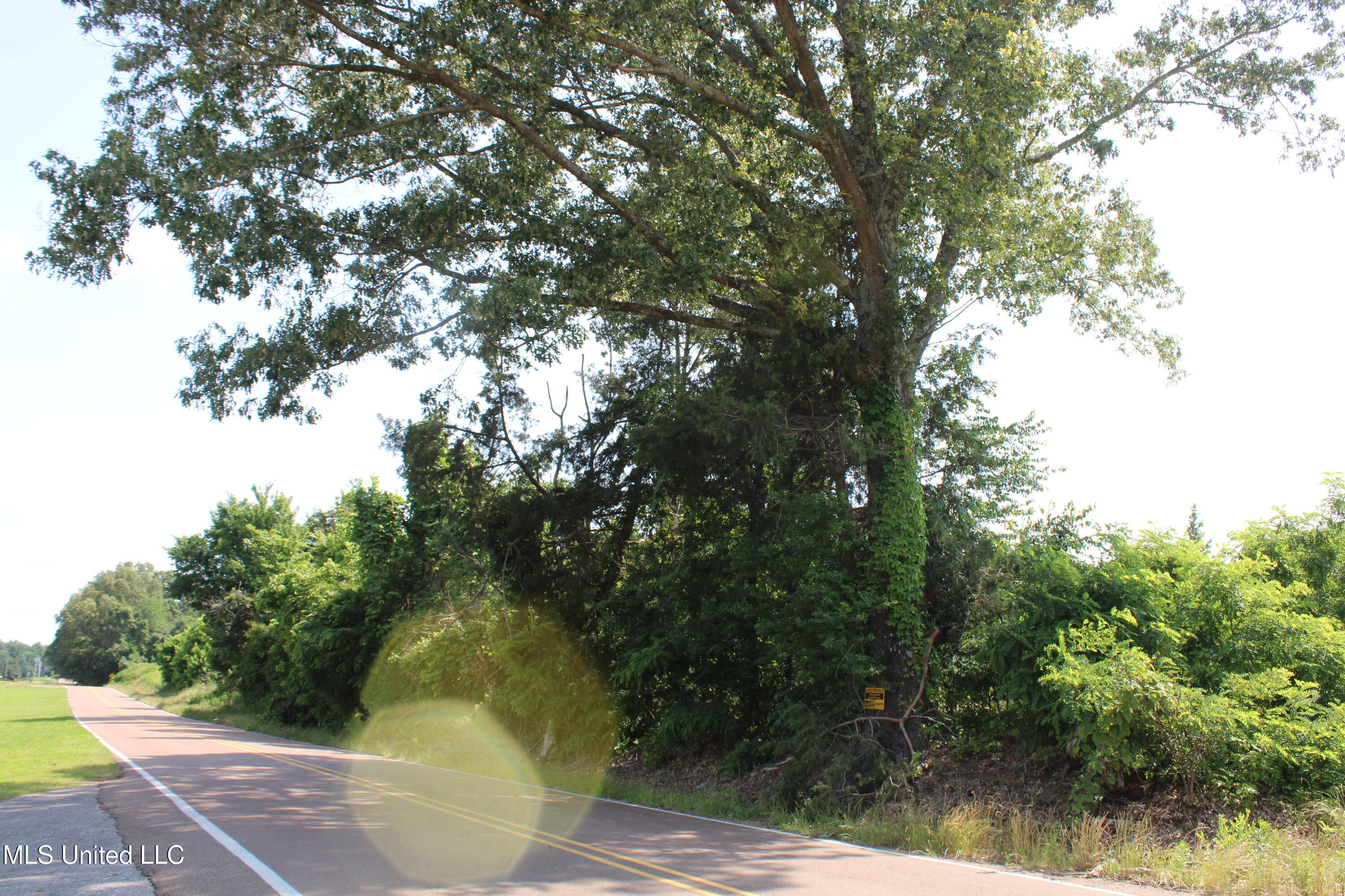 101 Baldwin Road South Lake Cormorant, MS 38641 - Photo 19 of 46 IMG_6153