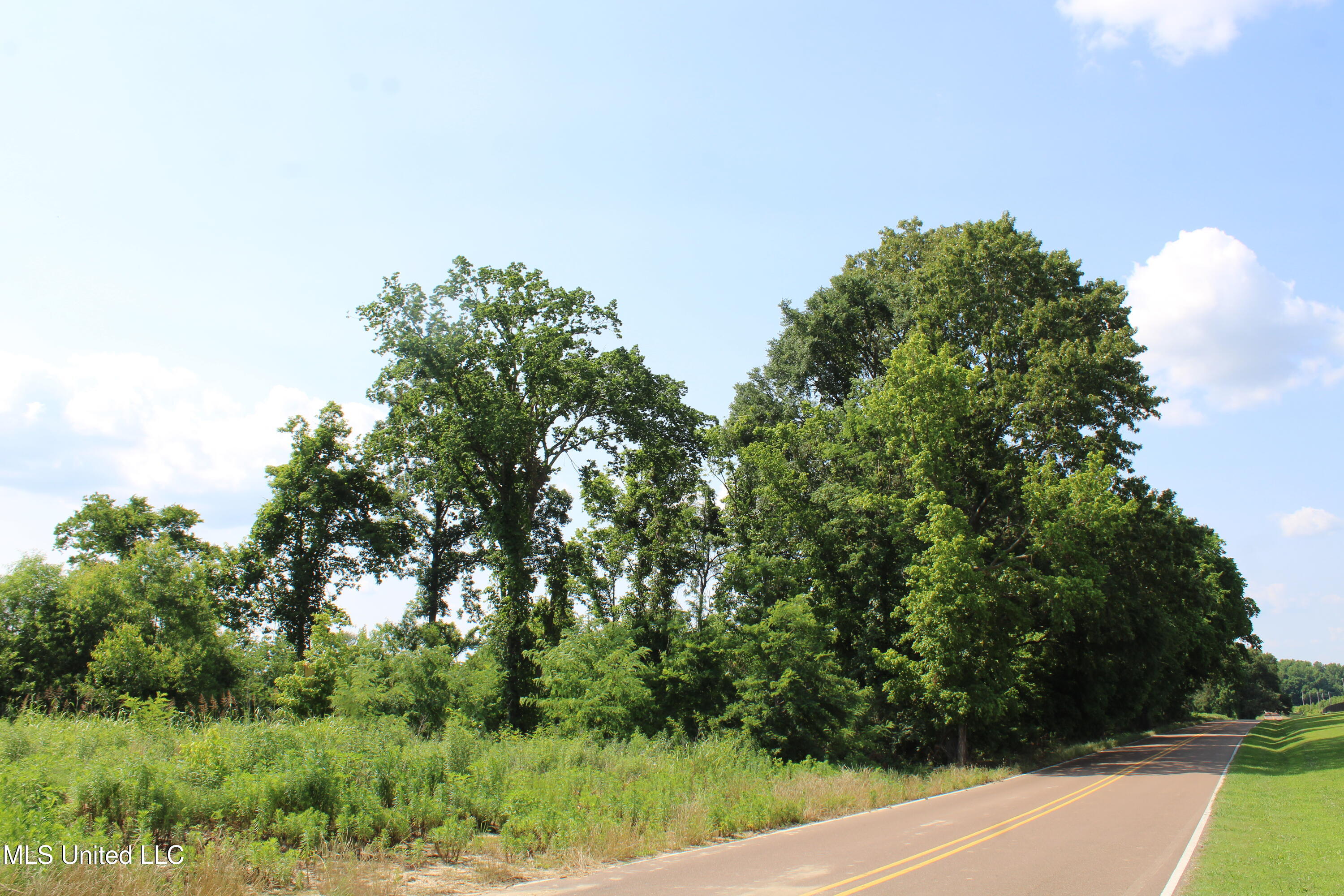 101 Baldwin Road South Lake Cormorant, MS 38641 - Photo 20 of 46 IMG_6154