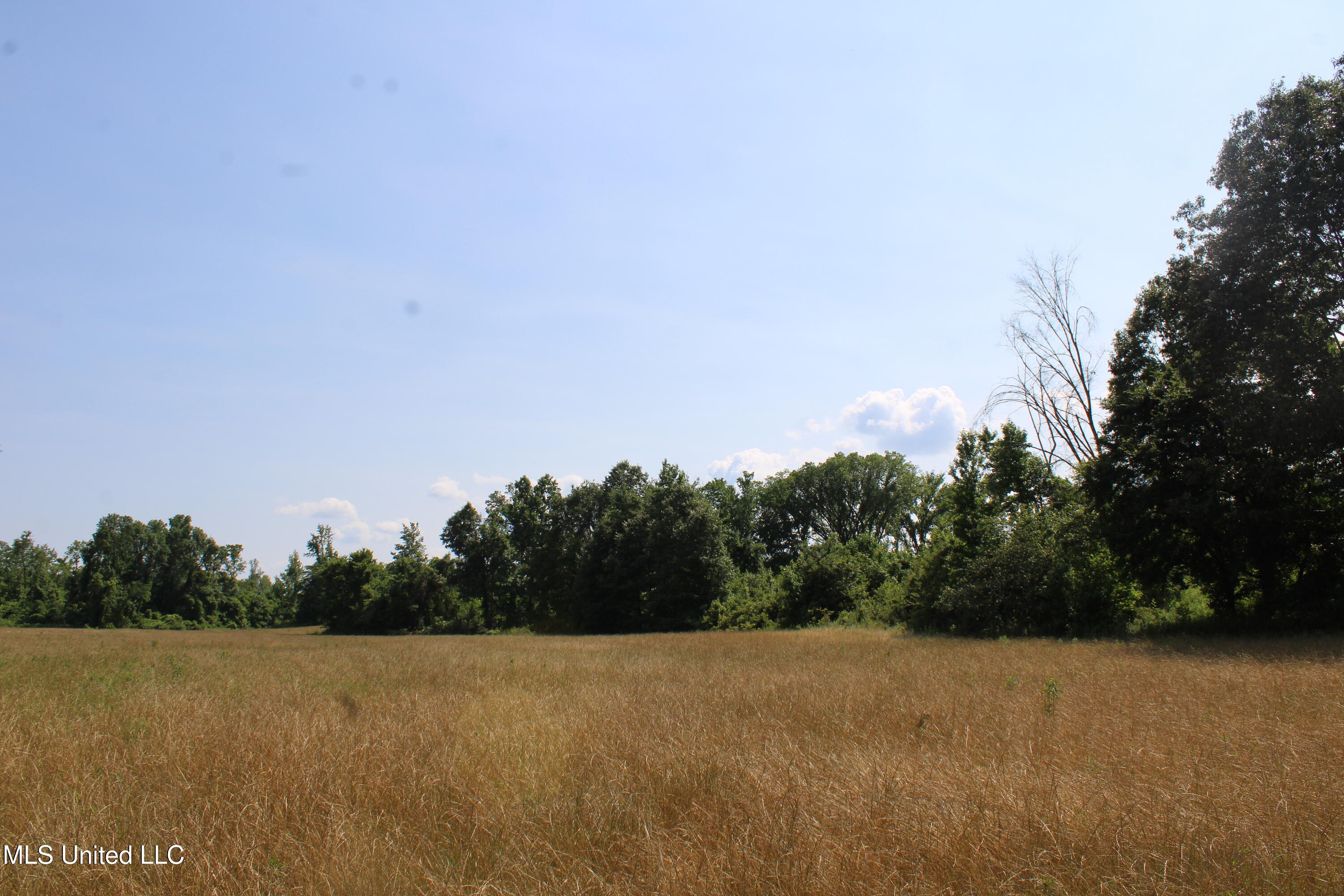 101 Baldwin Road South Lake Cormorant, MS 38641 - Photo 22 of 46 IMG_6157
