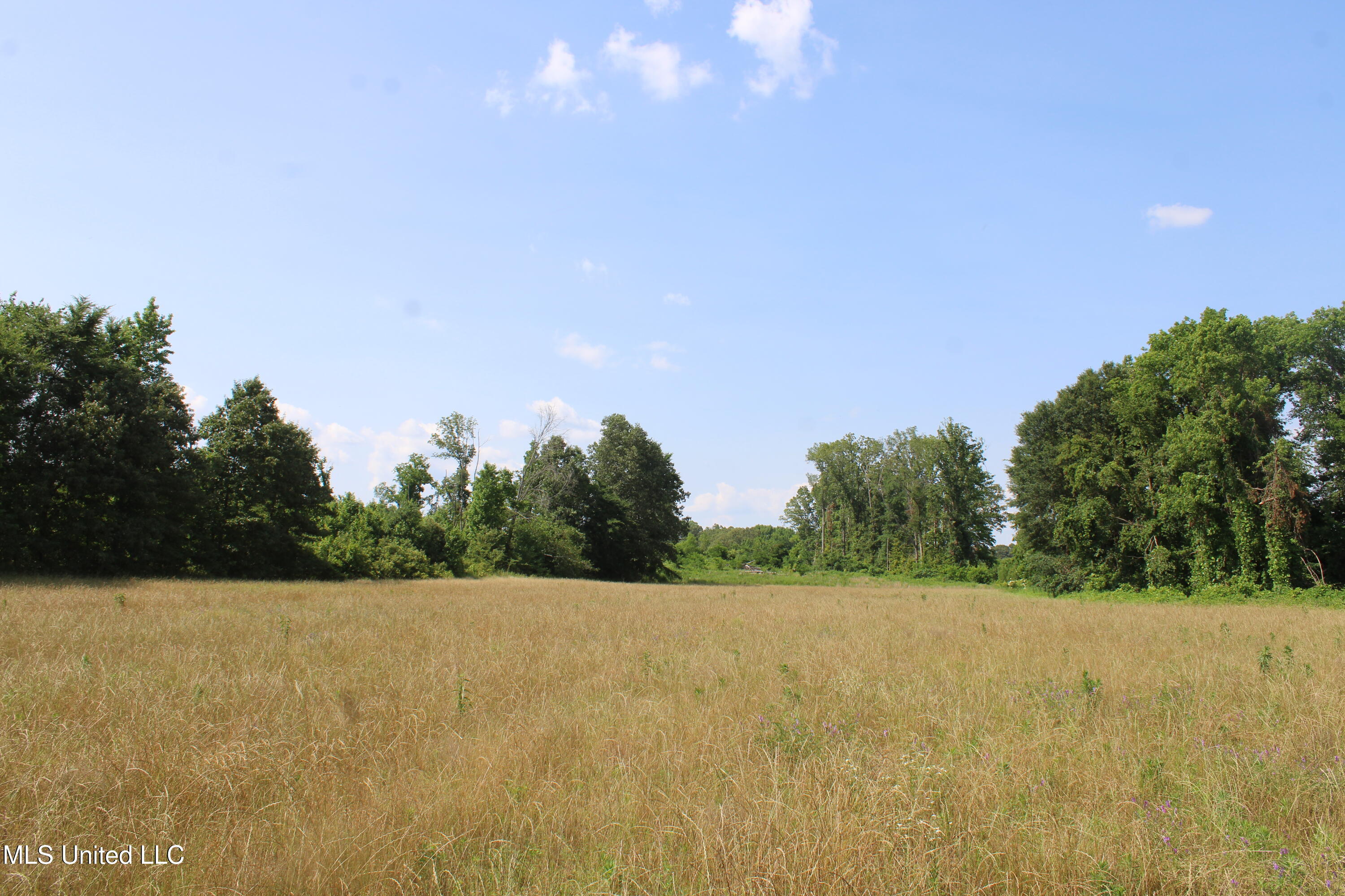 101 Baldwin Road South Lake Cormorant, MS 38641 - Photo 23 of 46 IMG_6158